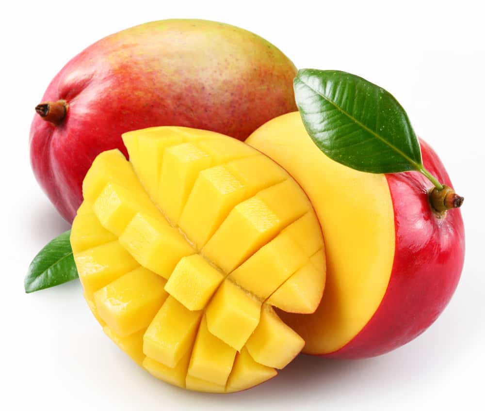Les chats peuvent-ils manger de la mangue? 10 réponses aux questions les plus fréquentes sur ce fruit irrésistible! 1