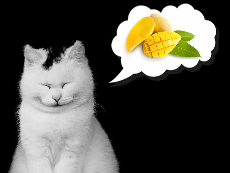 Les chats peuvent-ils manger de la mangue