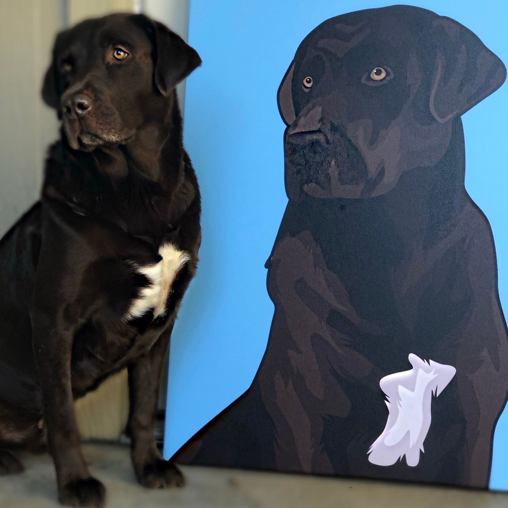 Chat personnalisé de chien de toile de Pop Art d’animal familier